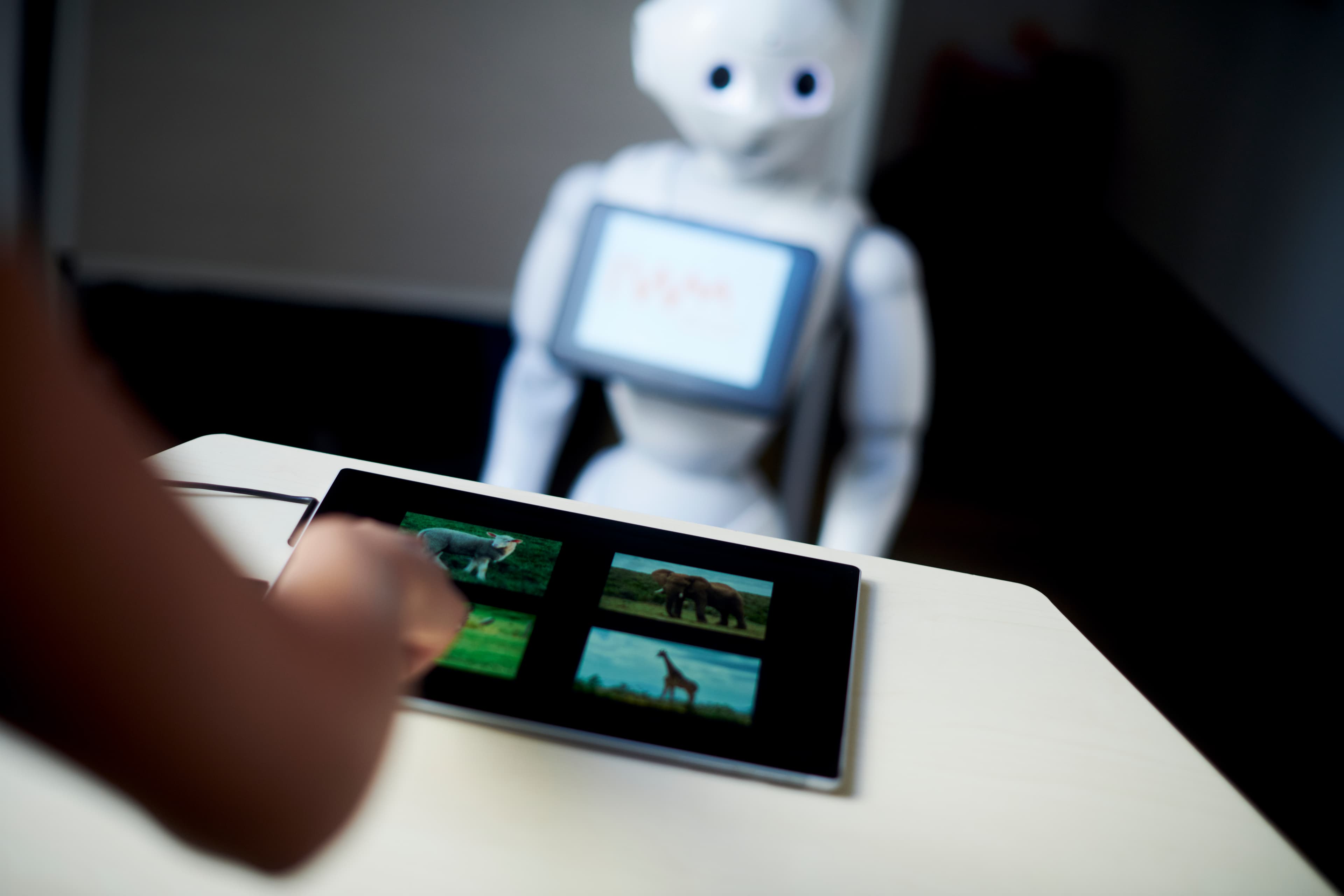 A person using a tablet with Pepper, the IWM robot, in the background